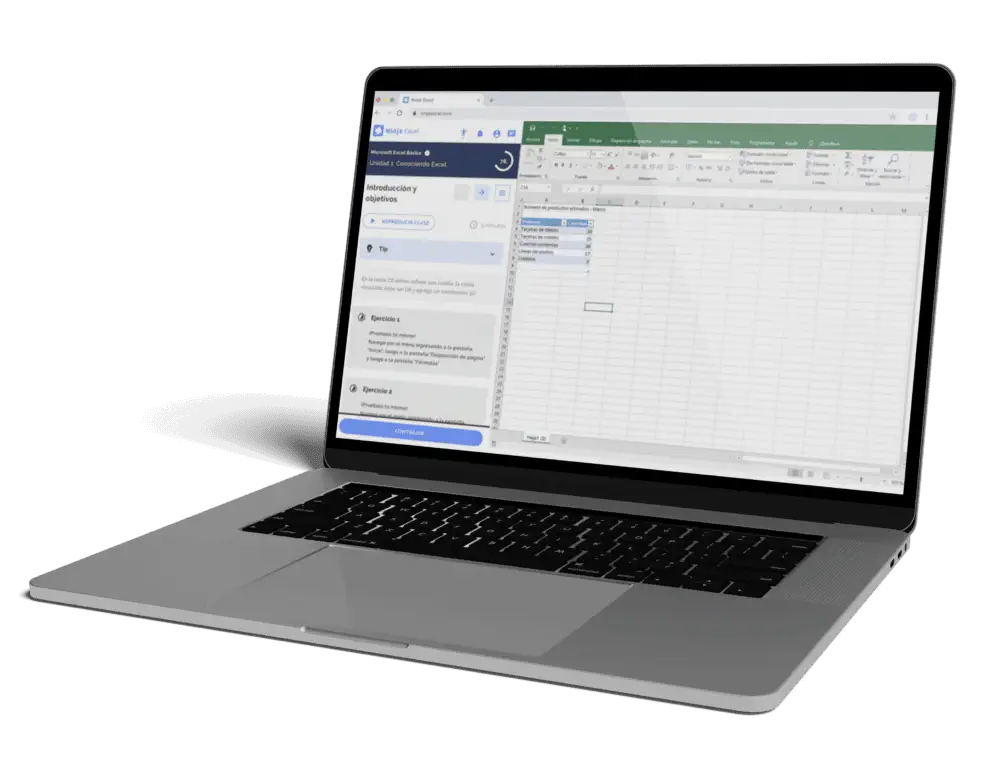 laptop-app-ninja-excel